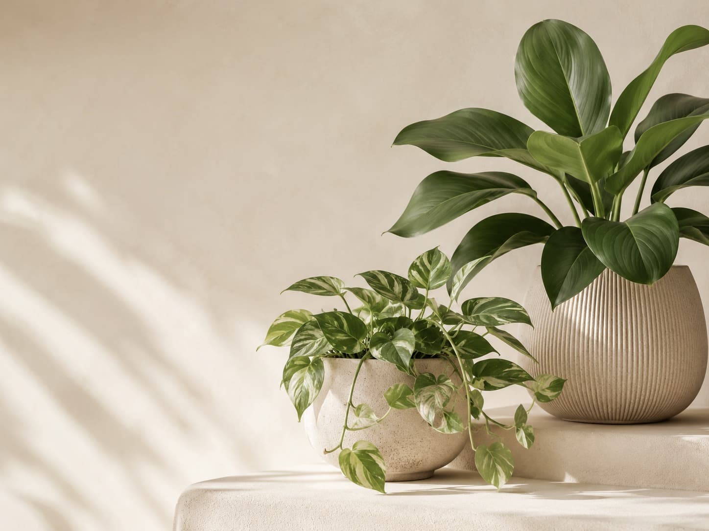 Plants