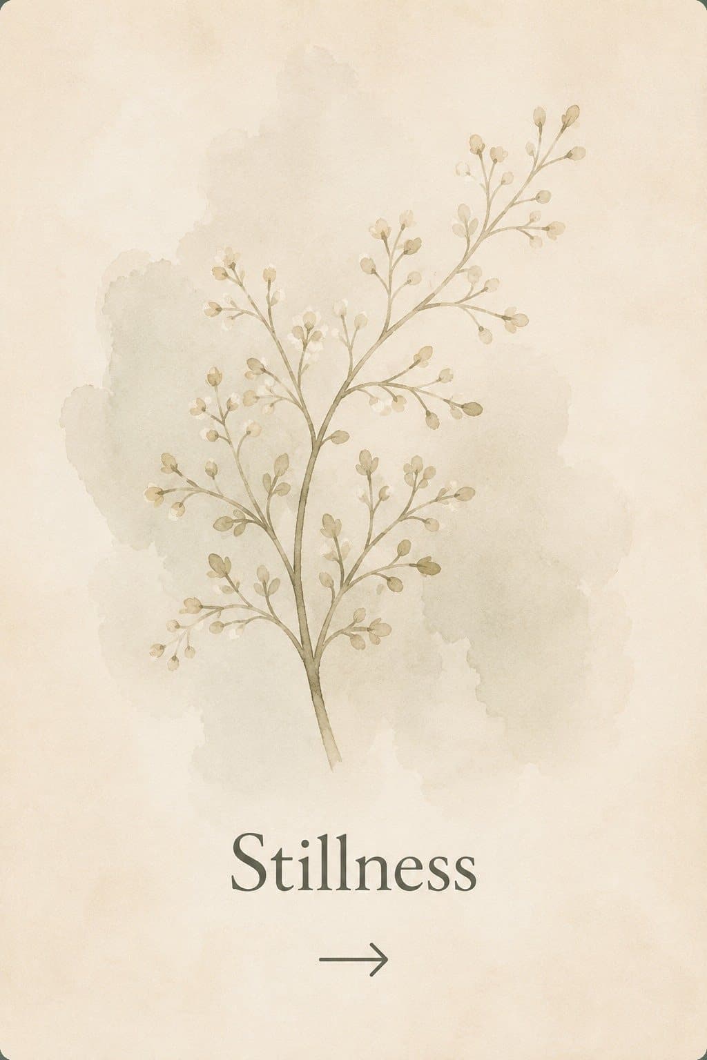 Stillness